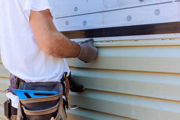 Affordable Vinyl Siding solutions in McDonough, GA